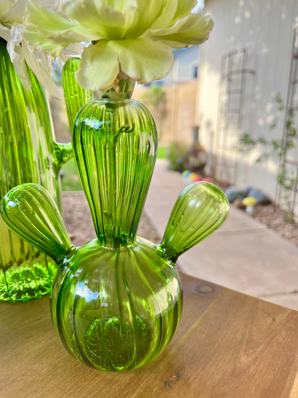 Cactus Glass Vase Set of 3