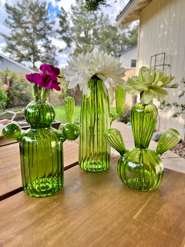 Cactus Glass Vase Set of 3
