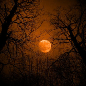 October 2025 Spiritual Energy Forecast: Moon Phases, Astrology & Crystals