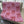 Blanket-Luxury Holiday Teddy Bear Fleece-Reversible