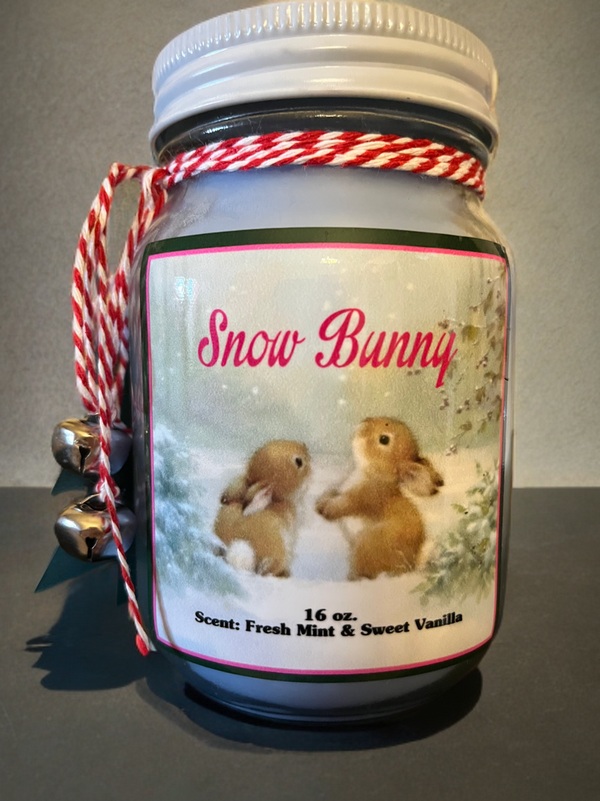 Handmade Holiday Scented Candles-16oz