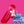 KITSCH Barbie Hair Clip Trio