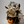 Bethany Lowe Designs - Halloween Pixie Mouse