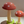 Glitter Mushroom Figurine Set