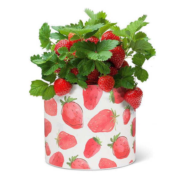Strawberry Planter