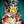 Eight Coins' Tattoo Tarot