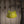 Bethany Lowe Designs - Froggie Bucket Small