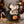 Bethany Lowe Designs - Halloween Pixie Mouse