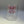 Coquette Bow Glass Drinkware