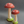 Glitter Mushroom Figurine Set