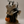 Bethany Lowe Designs - Halloween Pixie Mouse