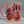 Retro Be Wild Pink Mug